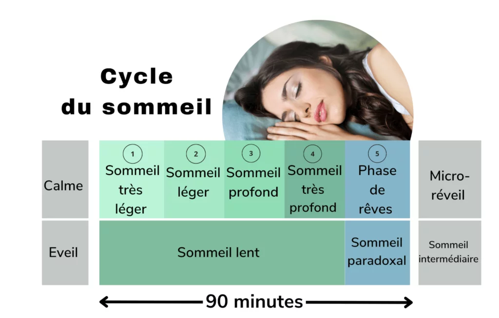 l'importance de bien dormir